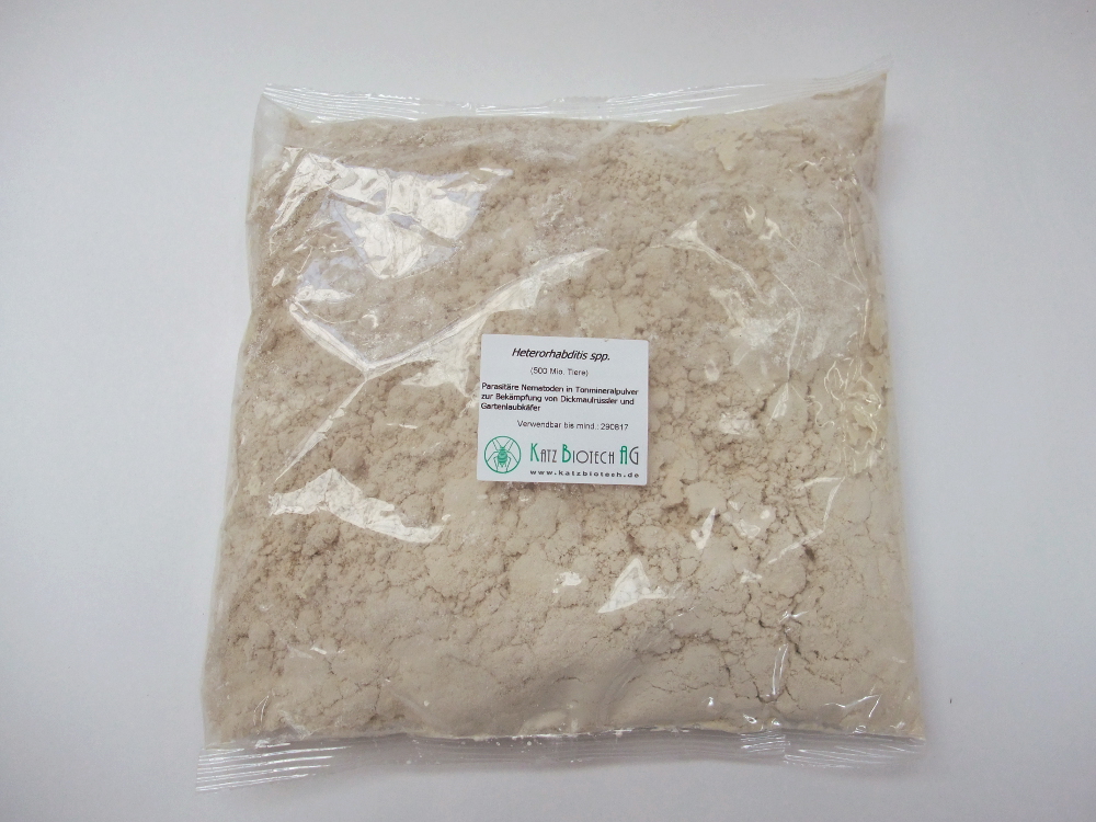 Heterorhabditis bacteriophora