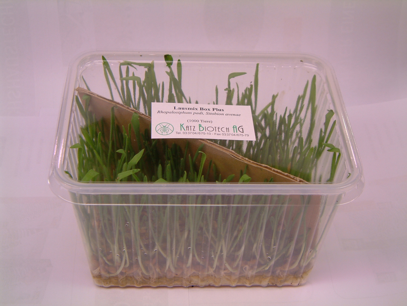 Blattläuse Lausmixbox