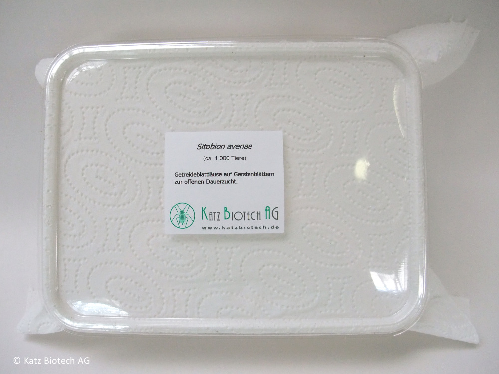 Blattläuse Lausmixbox